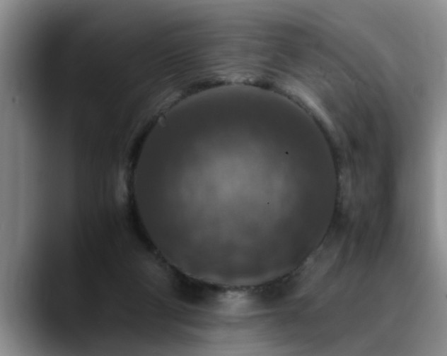 X0000090700114200707201204