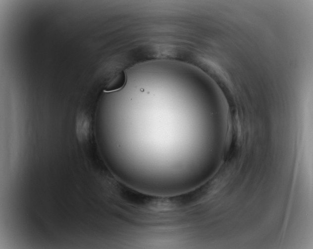 X0000090700123200707201204