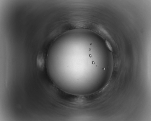 X0000090700124200707201204