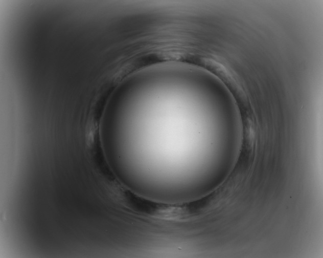 X0000090700125200707201204