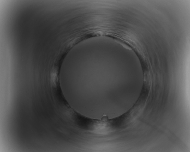 X0000090700127200707201204