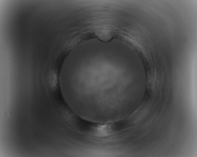 X0000090700130200707201204