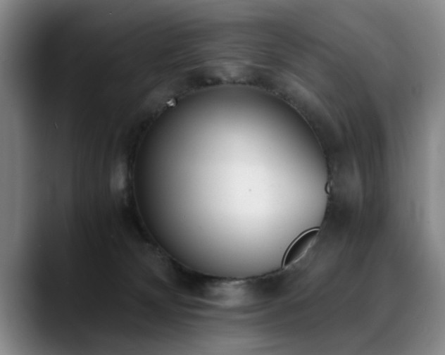 X0000090700132200707201204