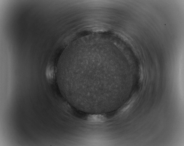 X0000090700137200707201204