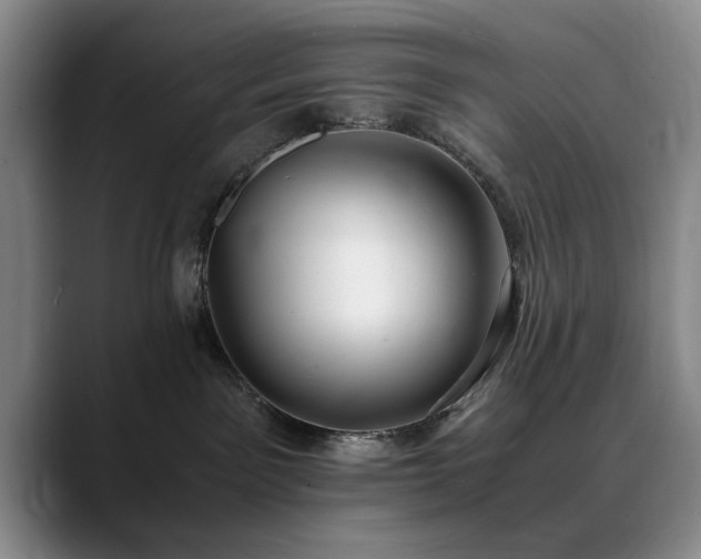 X0000090700141200707201204