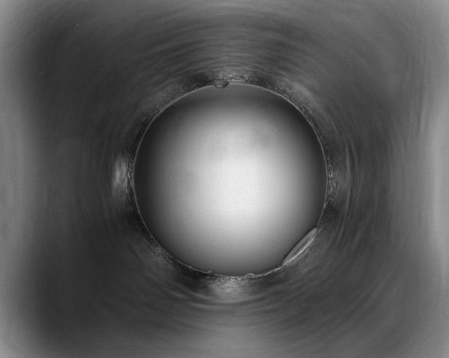 X0000090700142200707201204