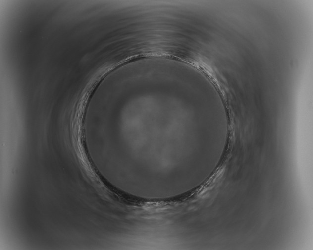 X0000090700145200707201203