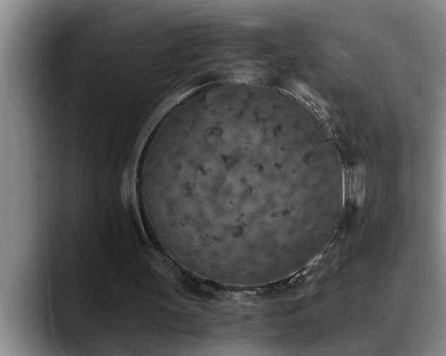 X0000090700147200707201203