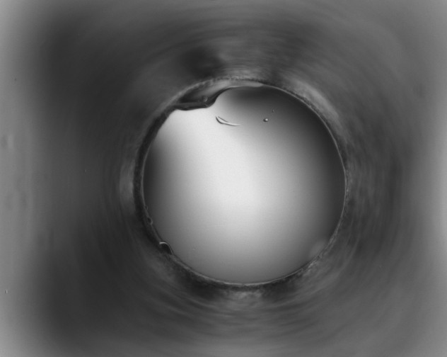 X0000090700155200707201203