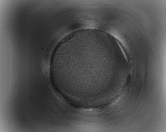 X0000090700156200707201203