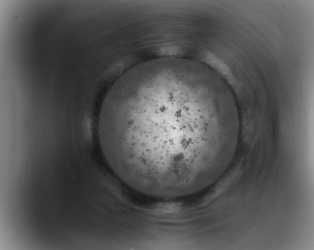 X0000090700161200707201204