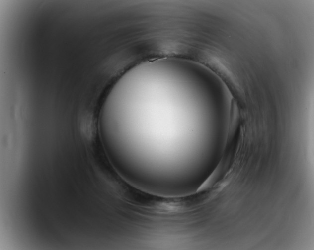 X0000090700164200707201204