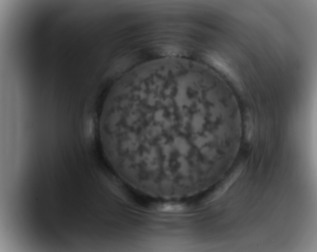 X0000090700165200707201204