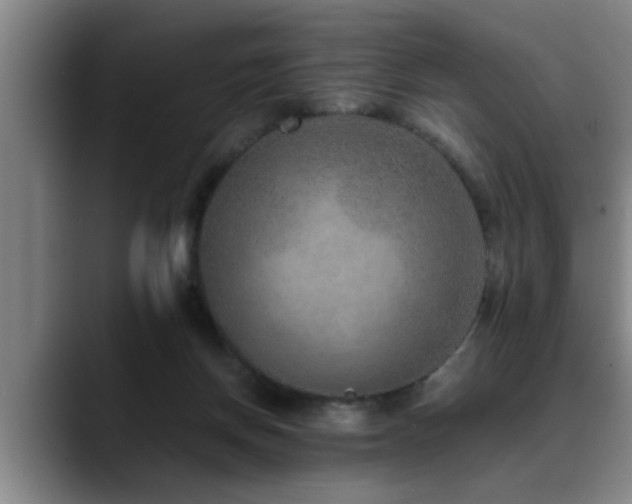 X0000090700166200707201204