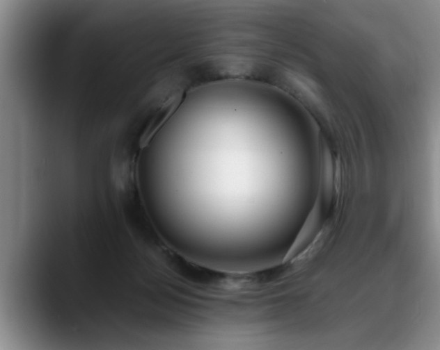 X0000090700172200707201204