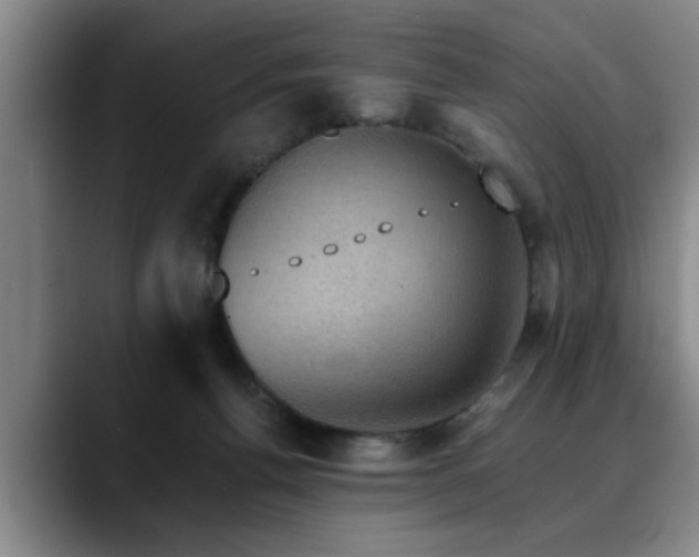 X0000090700176200707201204