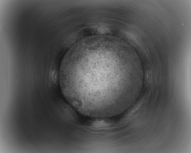 X0000090700177200707201204