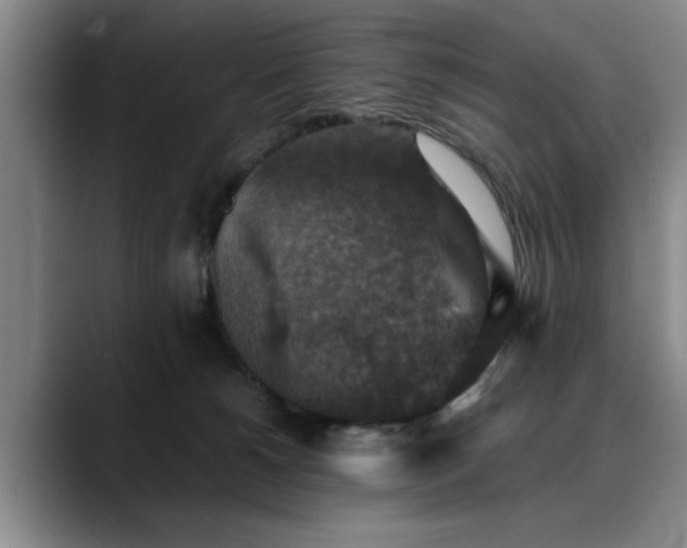 X0000090700180200707201204