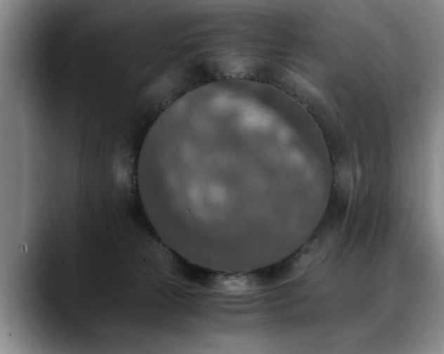 X0000090700181200707201204