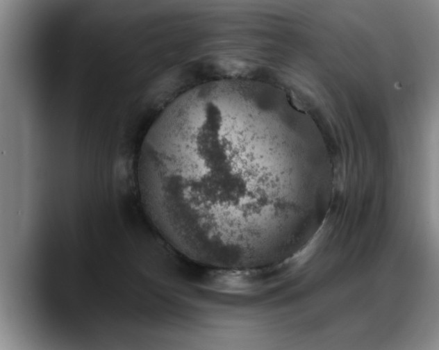 X0000090700182200707201204