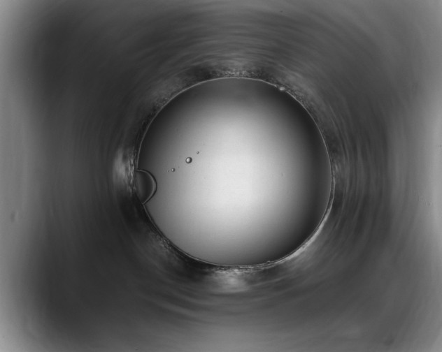 X0000090700190200707201204