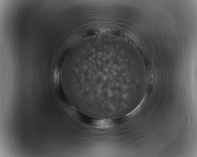 X0000090700191200707201204