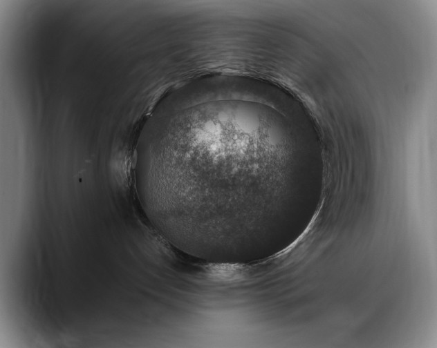 X0000090700192200707201204