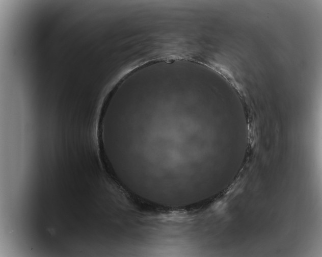 X0000090700196200707201203