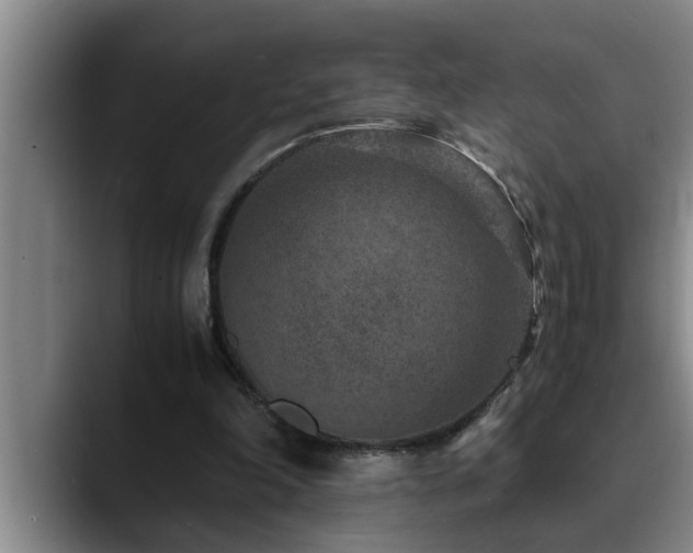 X0000090700198200707201203