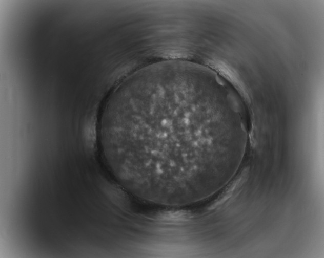 X0000090700202200707201203