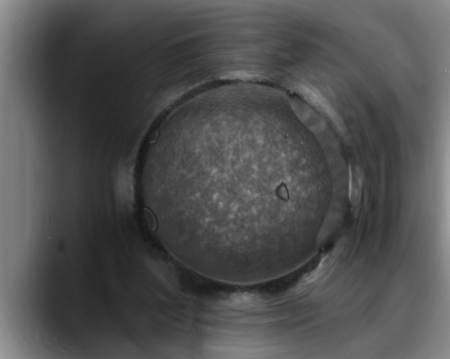 X0000090700204200707201203