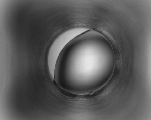 X0000090700207200707201203