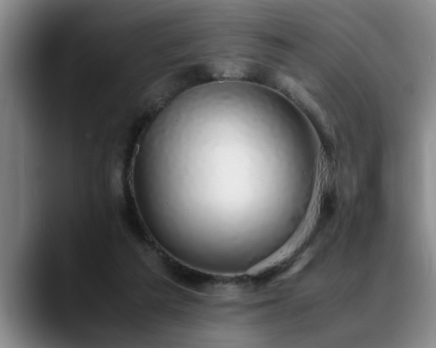 X0000090700209200707201203