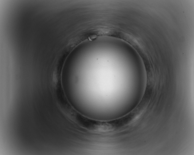 X0000090700215200707201203