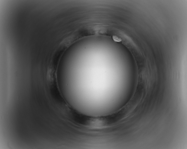 X0000090700218200707201203