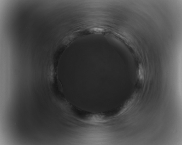 X0000090700223200707201203