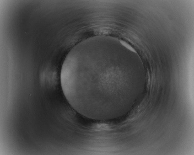 X0000090700224200707201203