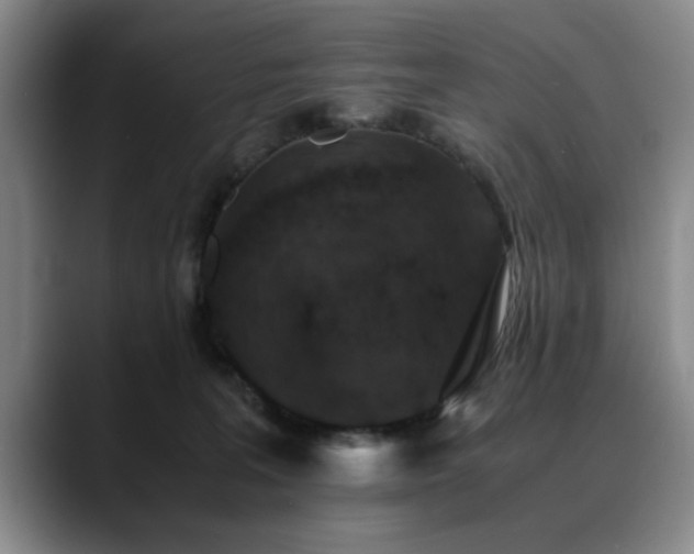 X0000090700227200707201203