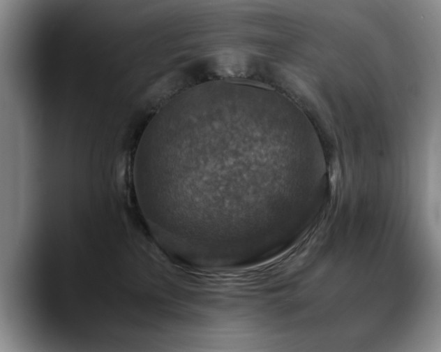 X0000090700233200707201203