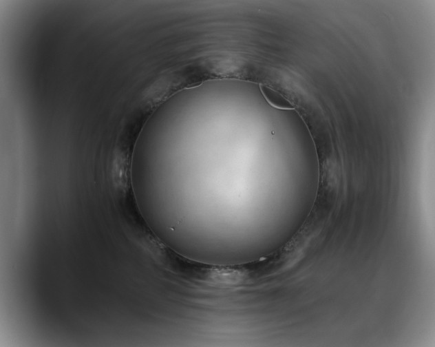 X0000090700234200707201203