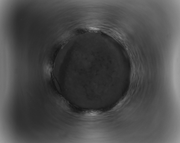 X0000090700235200707201203