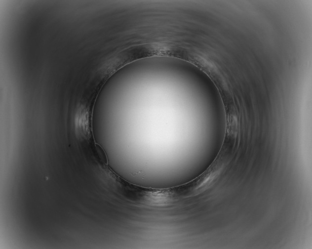 X0000090700238200707201203