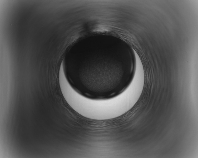 X0000090700239200707201203