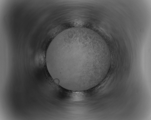 X0000090700240200707201203