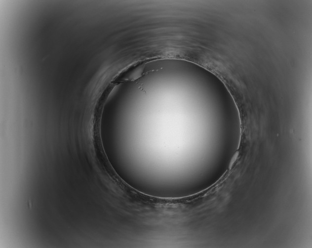 X0000090700242200707201202