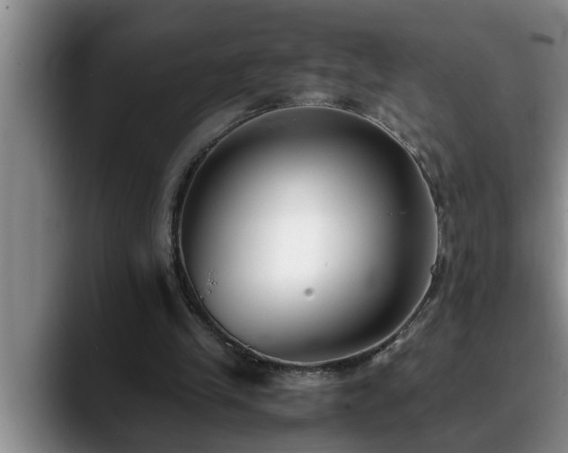 X0000090700245200707201202