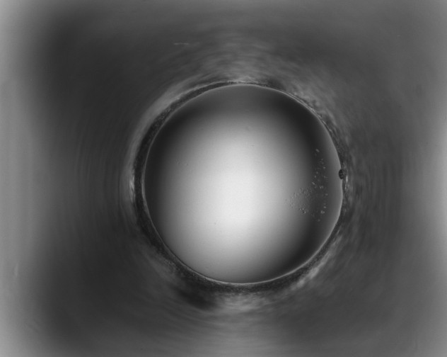 X0000090700246200707201202