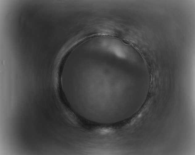 X0000090700247200707201202