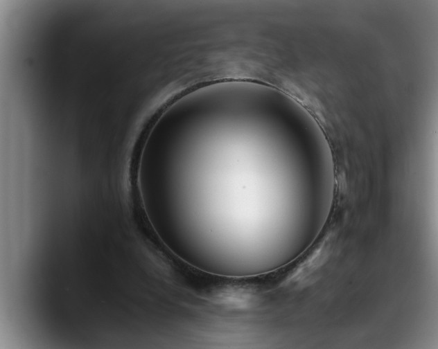 X0000090700248200707201202