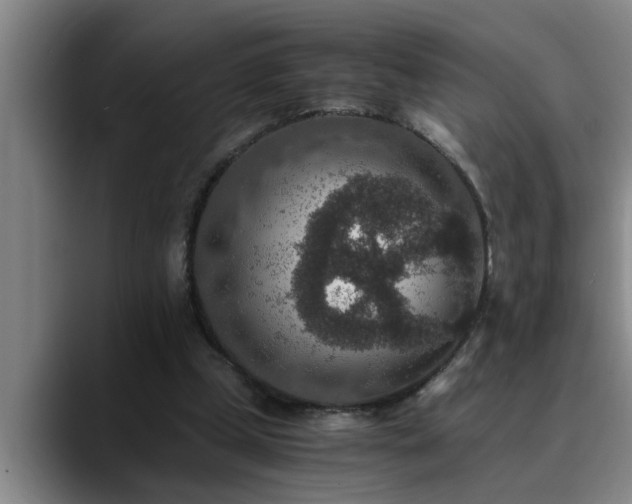 X0000090700249200707201202